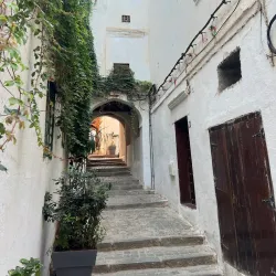 Local Cultural Events - Hassi Bahbah