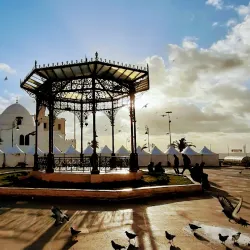 Local Cultural Events - Hassi Bahbah