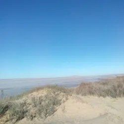 Local Parks and Recreation Areas - Hassi Bahbah