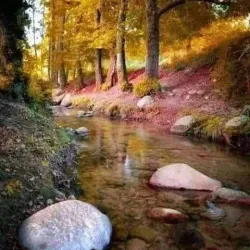 Nearby Natural Landscapes - Hassi Bahbah