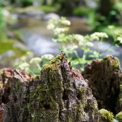 Nearby Natural Landscapes - Hassi Bahbah