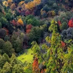 Nearby Natural Landscapes - Hassi Bahbah