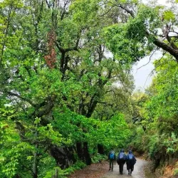 Nearby Natural Landscapes - Hassi Bahbah