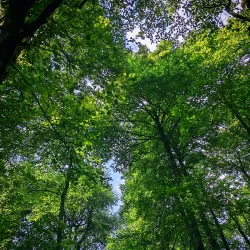 Nearby Natural Landscapes - Hassi Bahbah