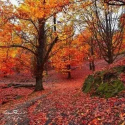 Nearby Natural Landscapes - Hassi Bahbah