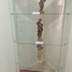 Khenchela Museum - Khenchela