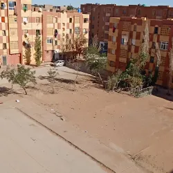 El Ghrous Oasis - Laghouat