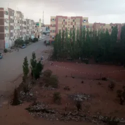 El Ghrous Oasis - Laghouat