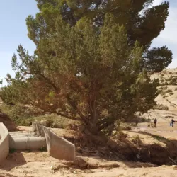 Laghouat Old Town - Laghouat