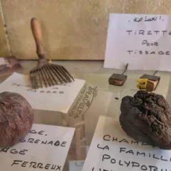 National Museum of Laghouat - Laghouat