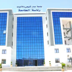 Palm Groves of Laghouat - Laghouat