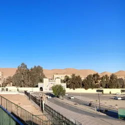 Palm Groves of Laghouat - Laghouat