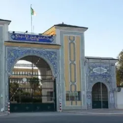 Palm Groves of Laghouat - Laghouat