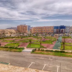 Palm Groves of Laghouat - Laghouat