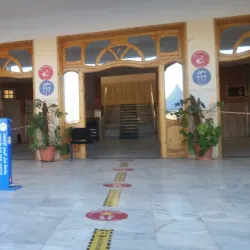 Palm Groves of Laghouat - Laghouat