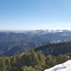 Chréa National Park - Lakhdaria