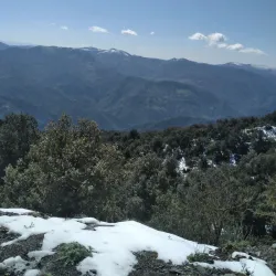 Chréa National Park - Lakhdaria