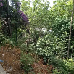 City Park and Gardens - Mascara