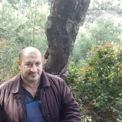 Sidi Ali Bounab Forest - Medea