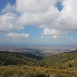 Sidi Ali Bounab Forest - Medea