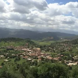 Sidi Ali Bounab Forest - Medea