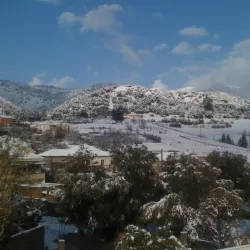 Sidi Ali Bounab Forest - Medea