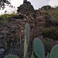 Sidi Ali Bounab Forest - Medea