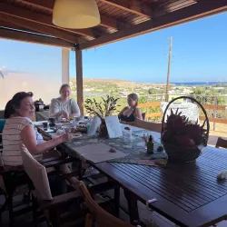 Nearby Olive Groves and Agricultural Tours - Relizane