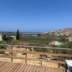 Nearby Olive Groves and Agricultural Tours - Relizane