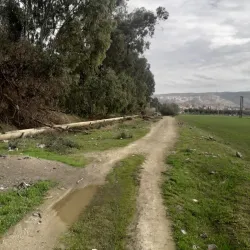 Oued Rhiou Natural Park - Relizane