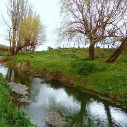 Saida Old Town - Saida