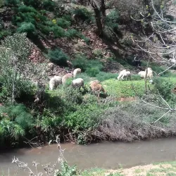 Saida Old Town - Saida