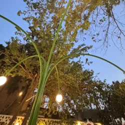 Saida Regional Park - Saida