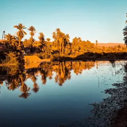 Tindouf Desert Landscape - Tindouf