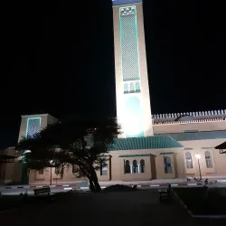 Tindouf Desert Landscape - Tindouf