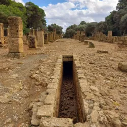 Byzantine Basilica - Tipasa