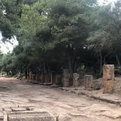 Byzantine Basilica - Tipasa