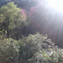 Ain El Hammam - Tizi Ouzou (Thizi Wezzu)