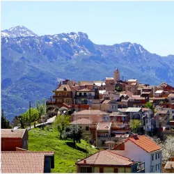 Ain El Hammam - Tizi Ouzou (Thizi Wezzu)