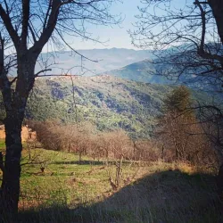 Ain El Hammam - Tizi Ouzou (Thizi Wezzu)