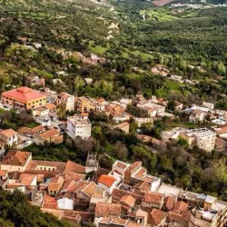Tizi Ouzou Grand Mosque - Tizi Ouzou (Thizi Wezzu)