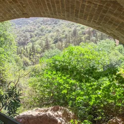 Tlemcen National Park - Tlemcen