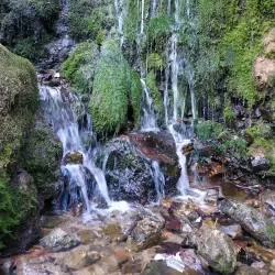 Tlemcen National Park - Tlemcen