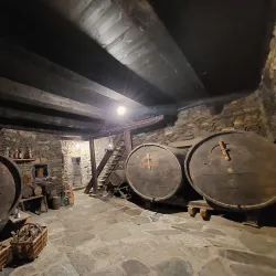 Casa d'Areny-Plandolit Museum - El Serrat