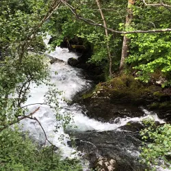 Ordino Village - El Serrat