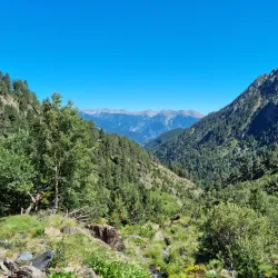 Coma Pedrosa Natural Park - La Massana