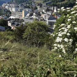 La Massana Village - La Massana