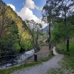La Massana Village - La Massana