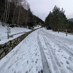 Camí de les Pardines - Ordino