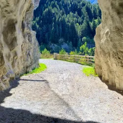 Camí de les Pardines - Ordino